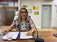 Câmara de Vereadores de Getúlio Vargas aprova reforma na Rua Afonso Tochetto